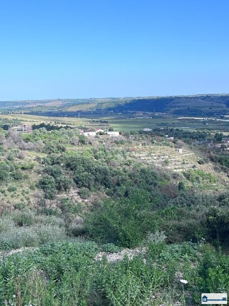 PHOTO-2025-07-09-11-42-40 (4).jpg